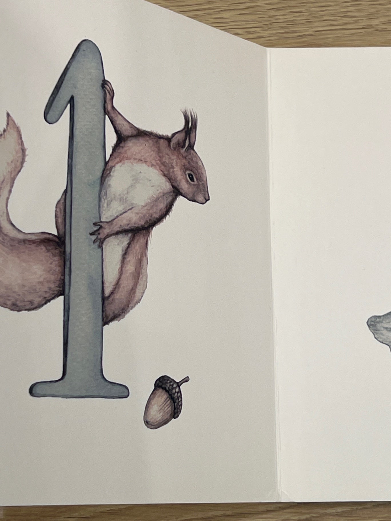 S Newbie Bok A forest fairytale